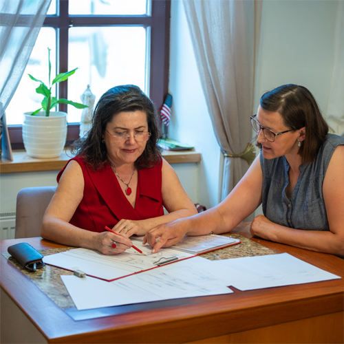 CONSULTANȚĂ Services
